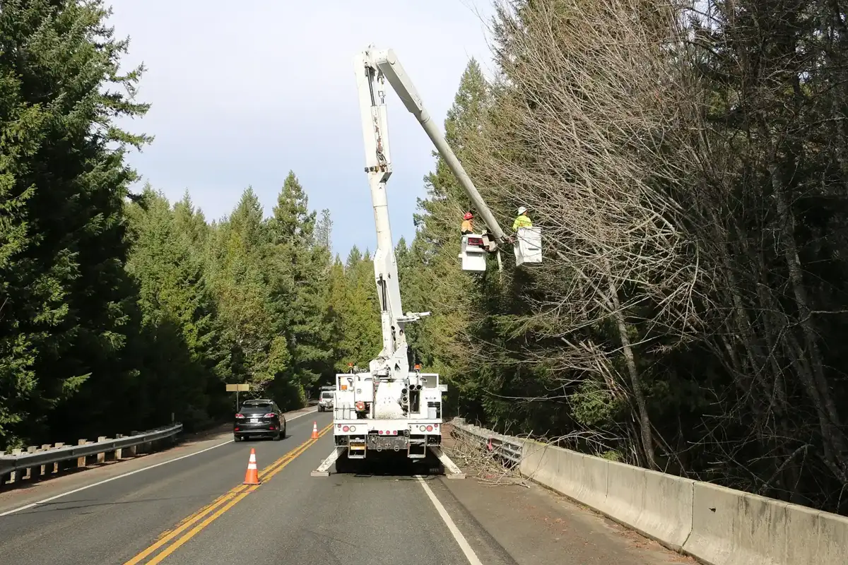 Tree removal bucket truck trimming trees in Greensboro, NC