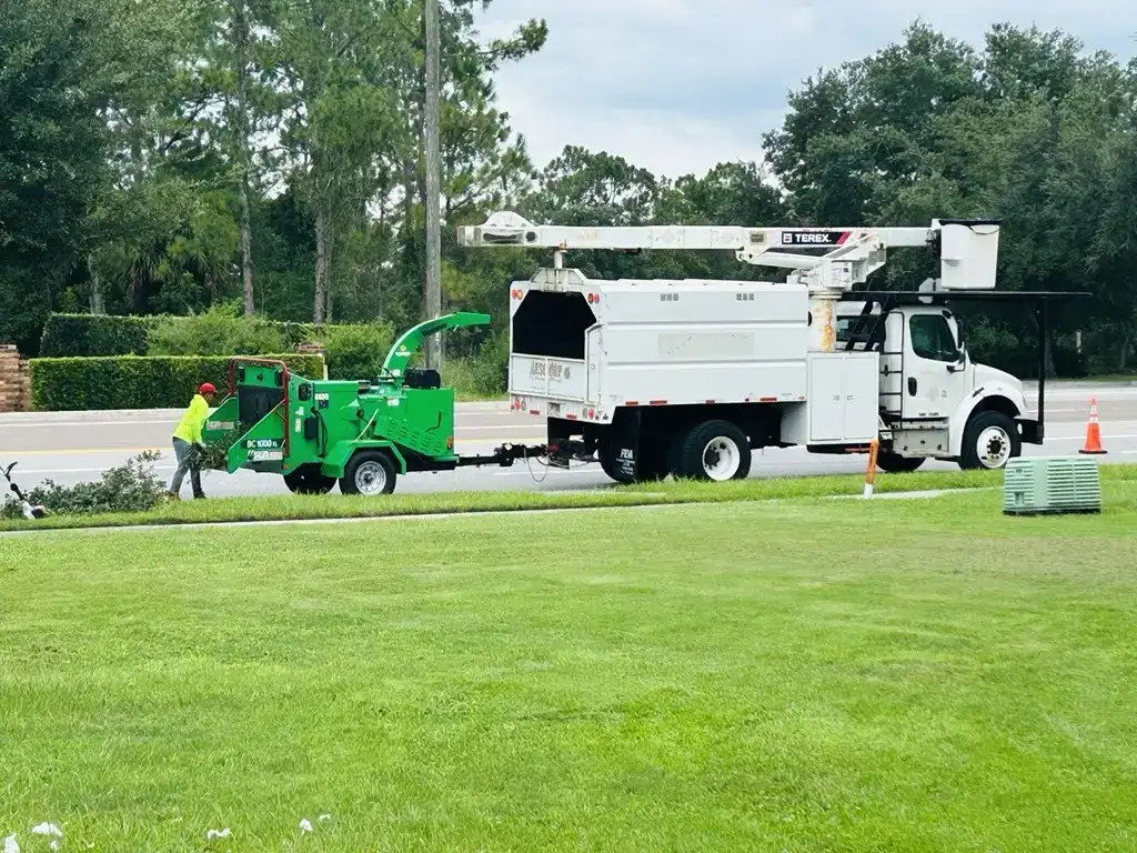 Tree Removal in Greensboro and the NC Triad