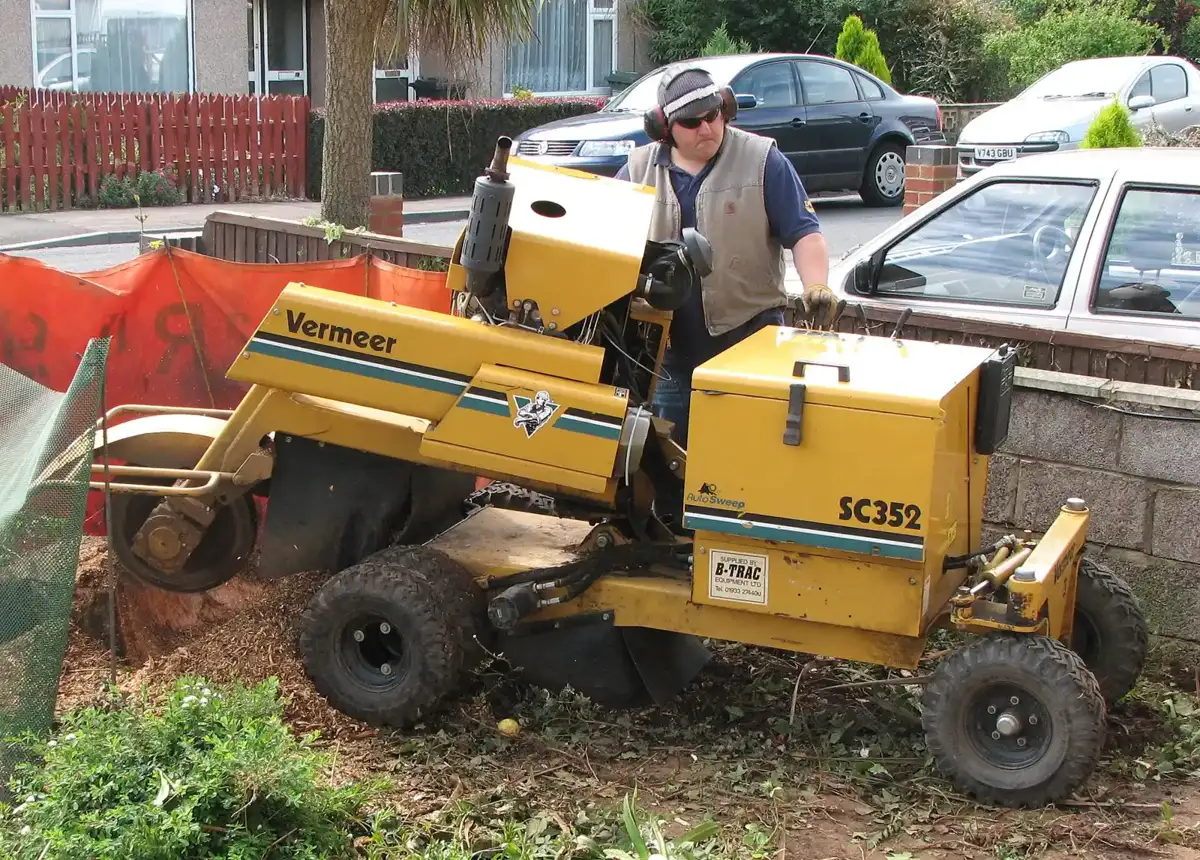 Stump grinding after tree removal in the NC Triad