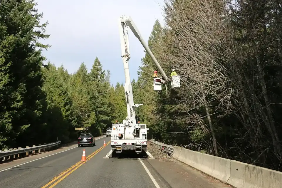 Tree removal bucket truck trimming trees in Greensboro, NC