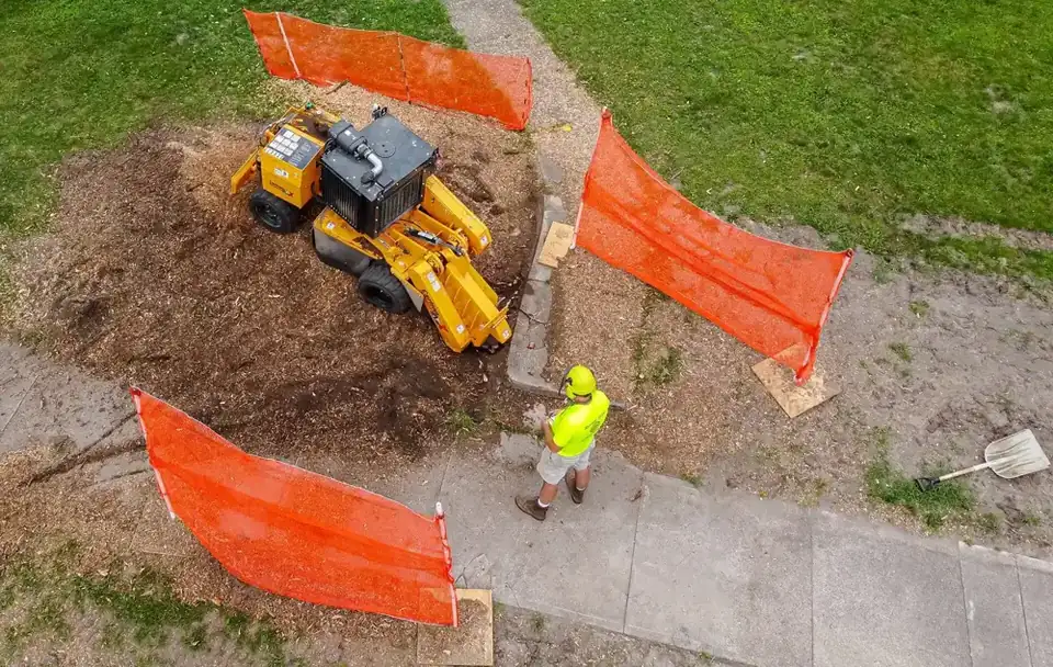 Stump Grinding in Greensboro and the NC Triad